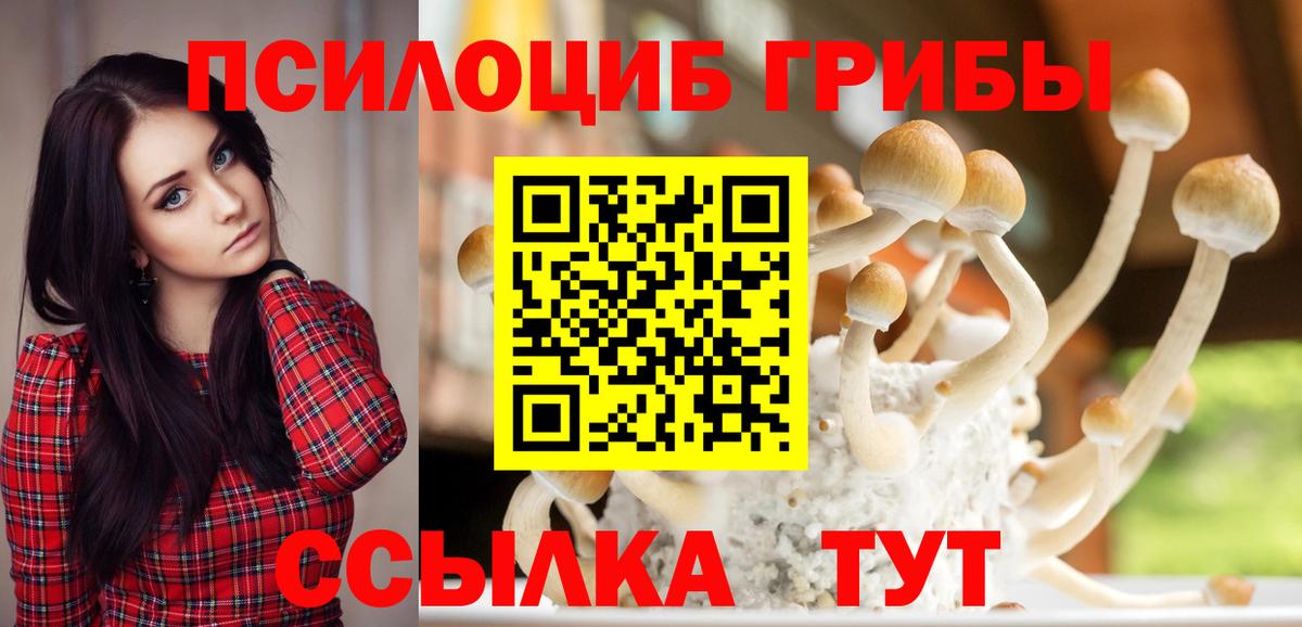 Псилоцибиновые грибы GOLDEN TEACHER Анапа